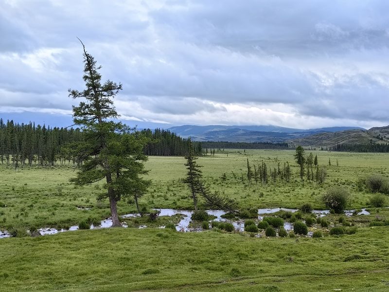 Утро фото превью