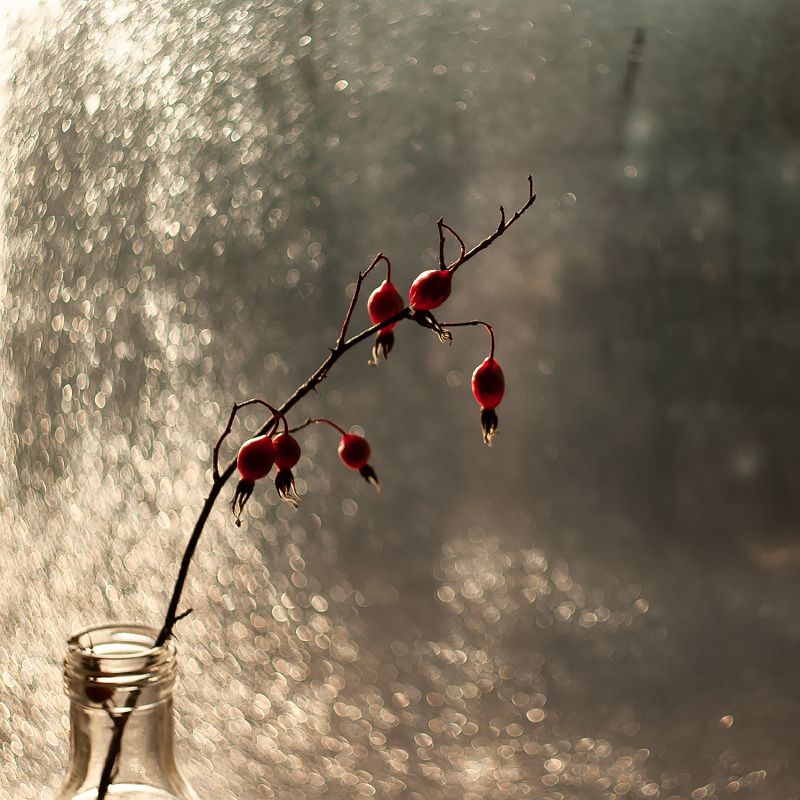 Осень. Утро фото превью