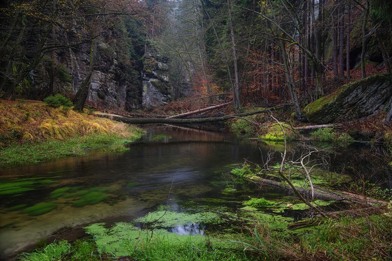 Осенние зарисовки. фото превью