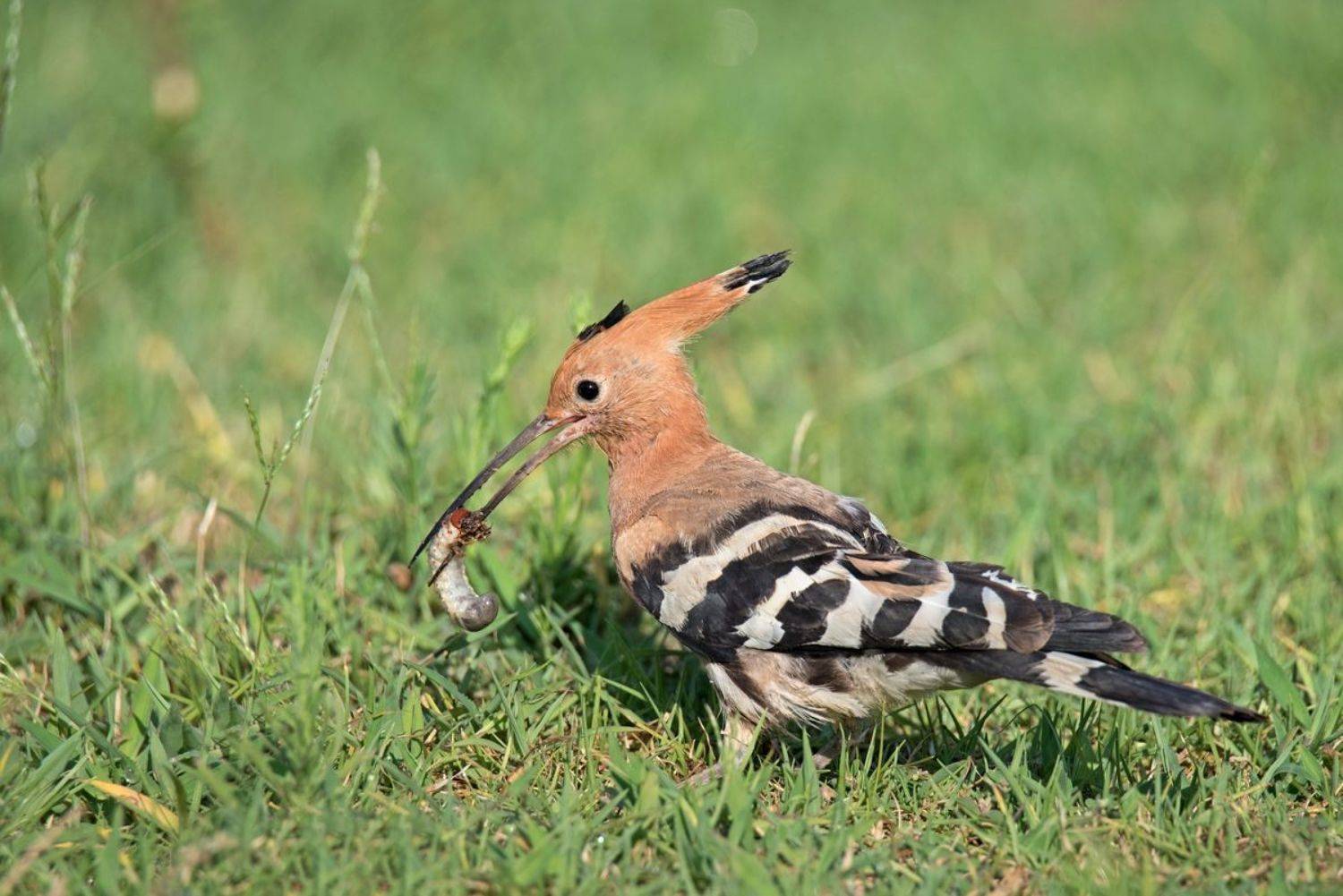 , Людмила Бекман