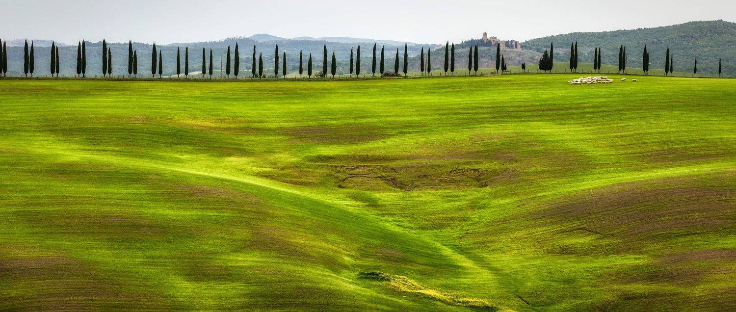 , Безмолитвенный Александр