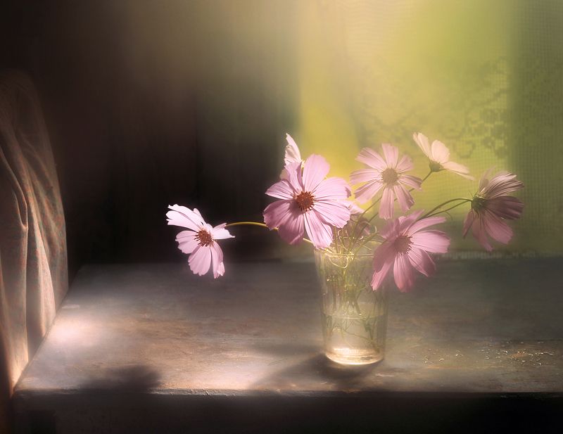 Нежна космея по утрам фото превью