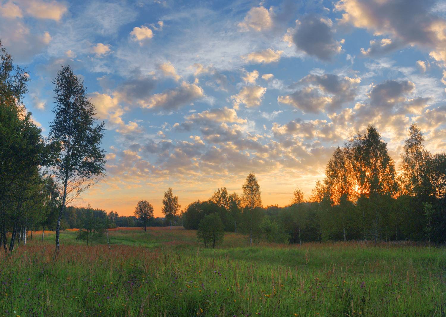 утро, поле, рассвет, облака, Александр Свистков