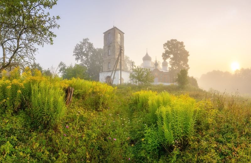 псков, пейзаж, д. Виделебье фото превью