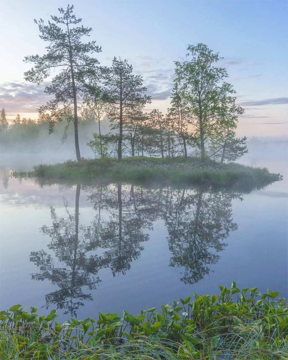 , Петр Косых