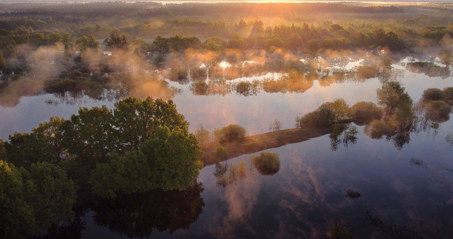 , Сергей Шляга