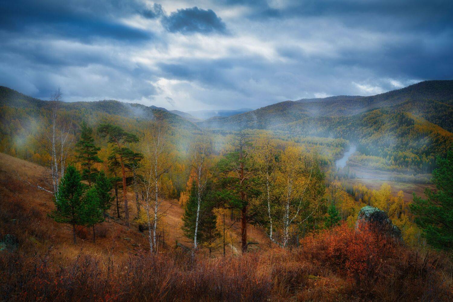 , Nikitin Alexander