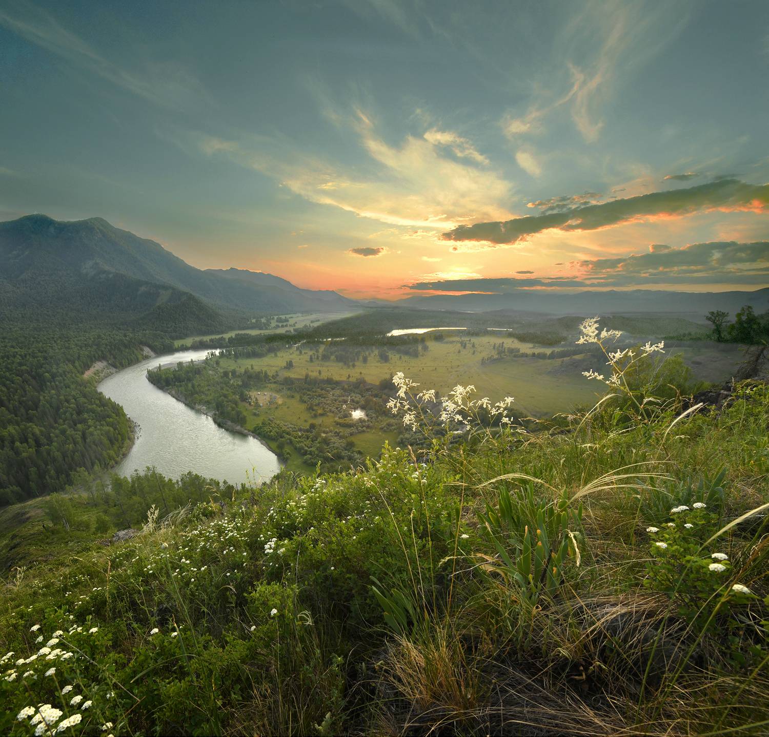 , Светлана Крат