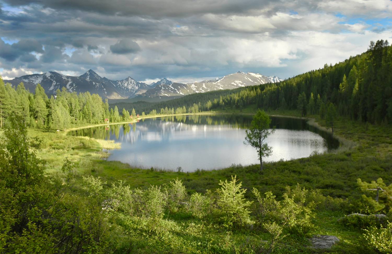 , Светлана Крат