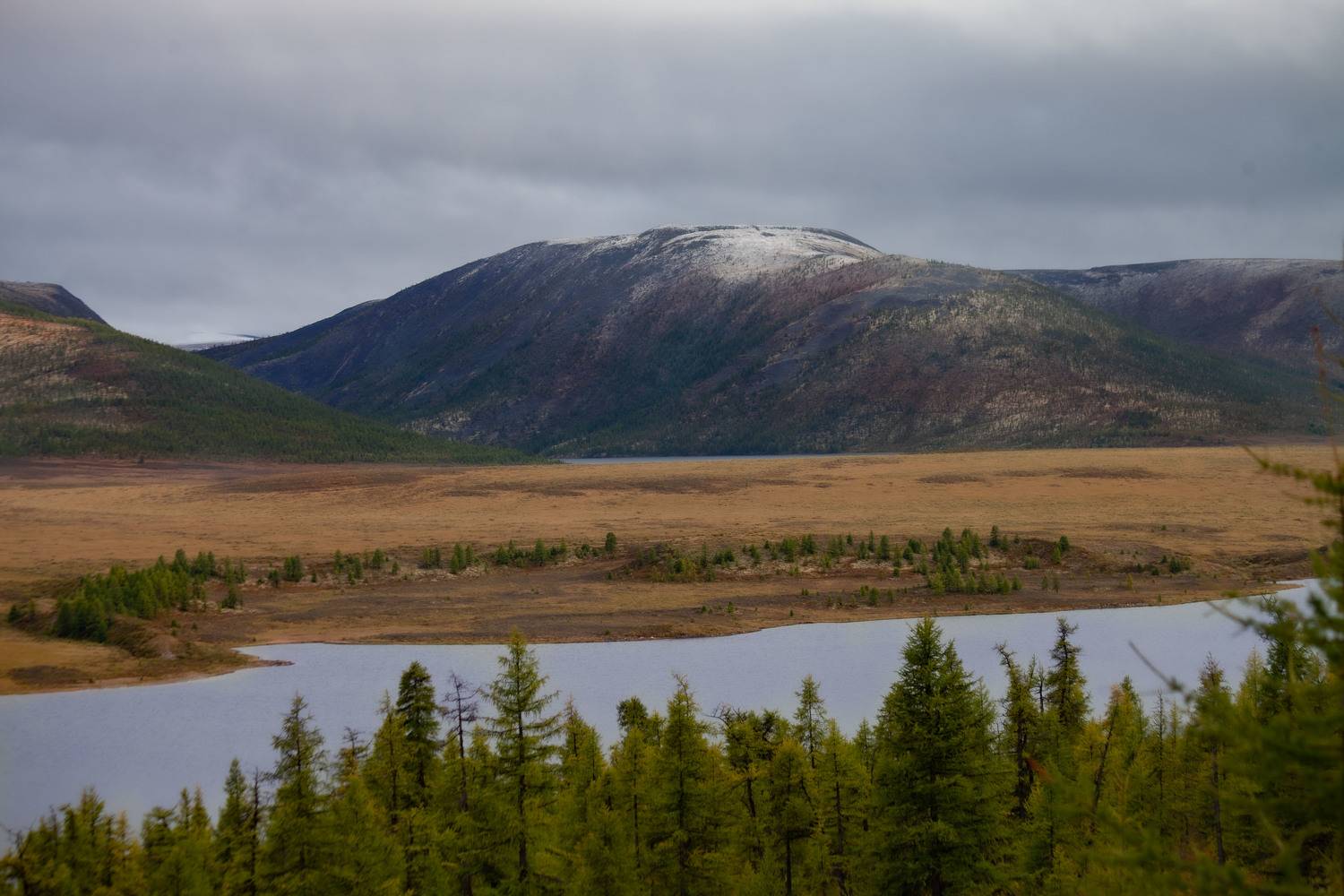 , Никифорова Ксения