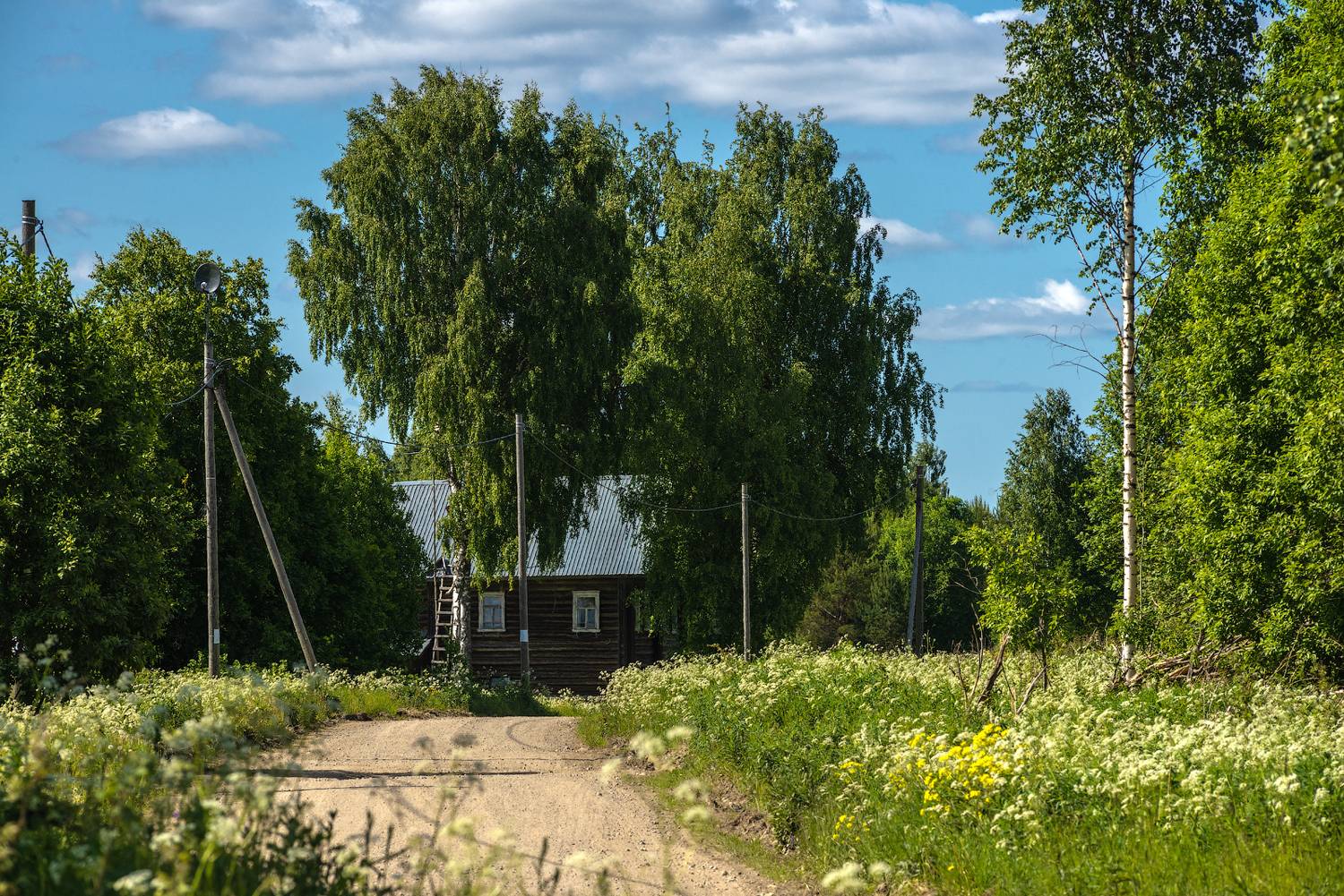 великий двор,вологодчина,кема,север, Роман Горячий