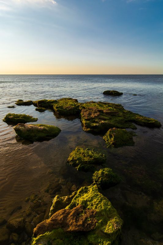 Morning light фото превью