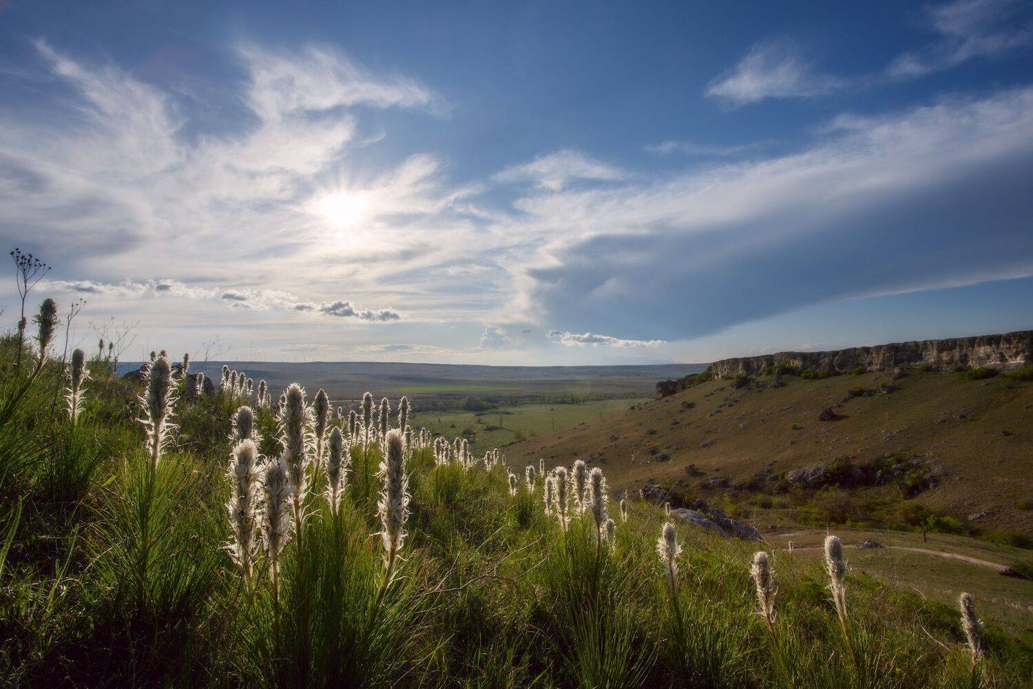 , Юлия Мальцева