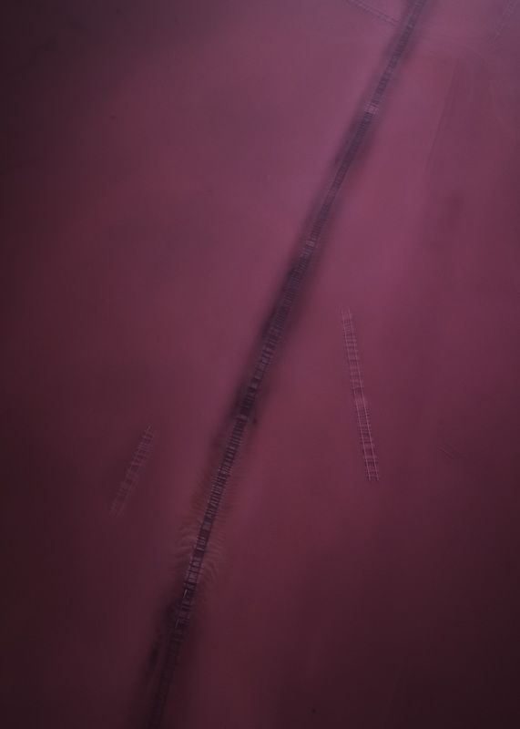 На дне соленого озера…  At the bottom of a salt lake… фото превью