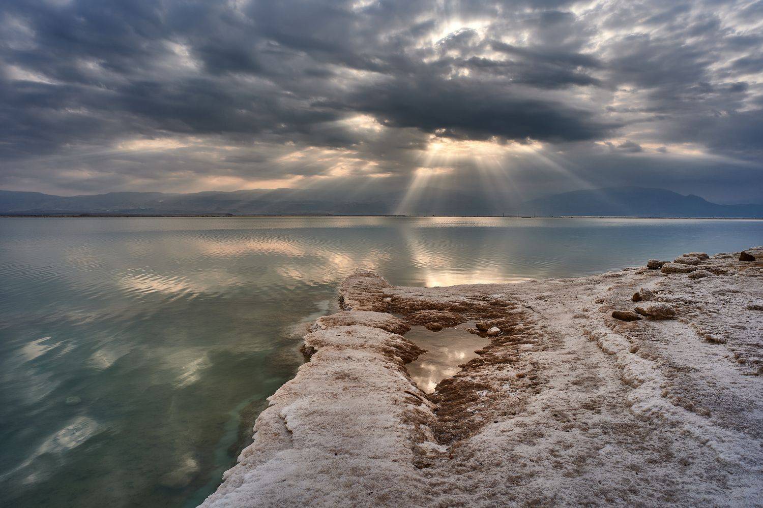 , David Solodar