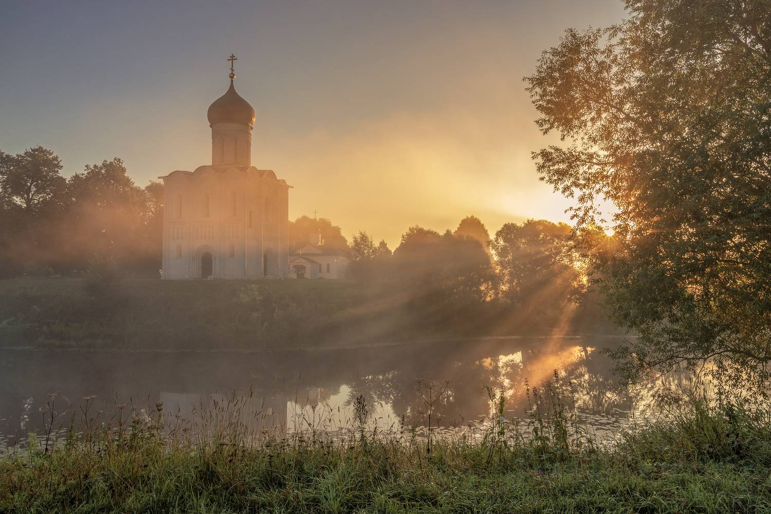 Владимирская область, Елена Гусева