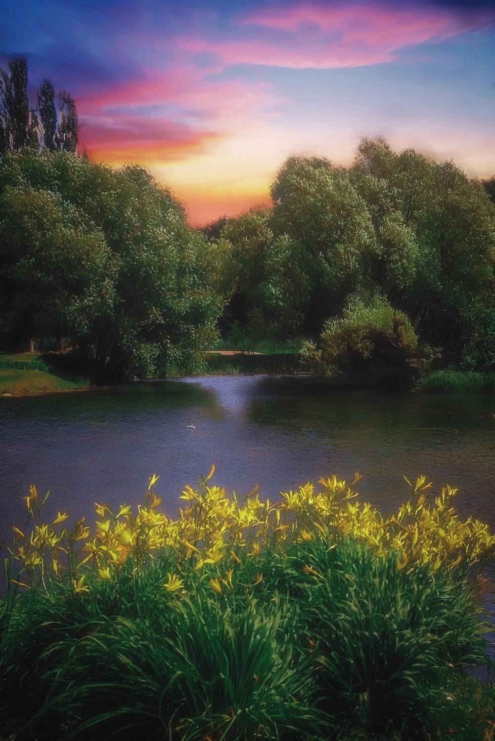 пейзаж, landscape, nature, природа, лето, summer, sunset, пруд, закат, Julia Kaissa