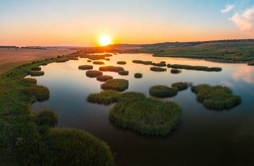Чернянский район