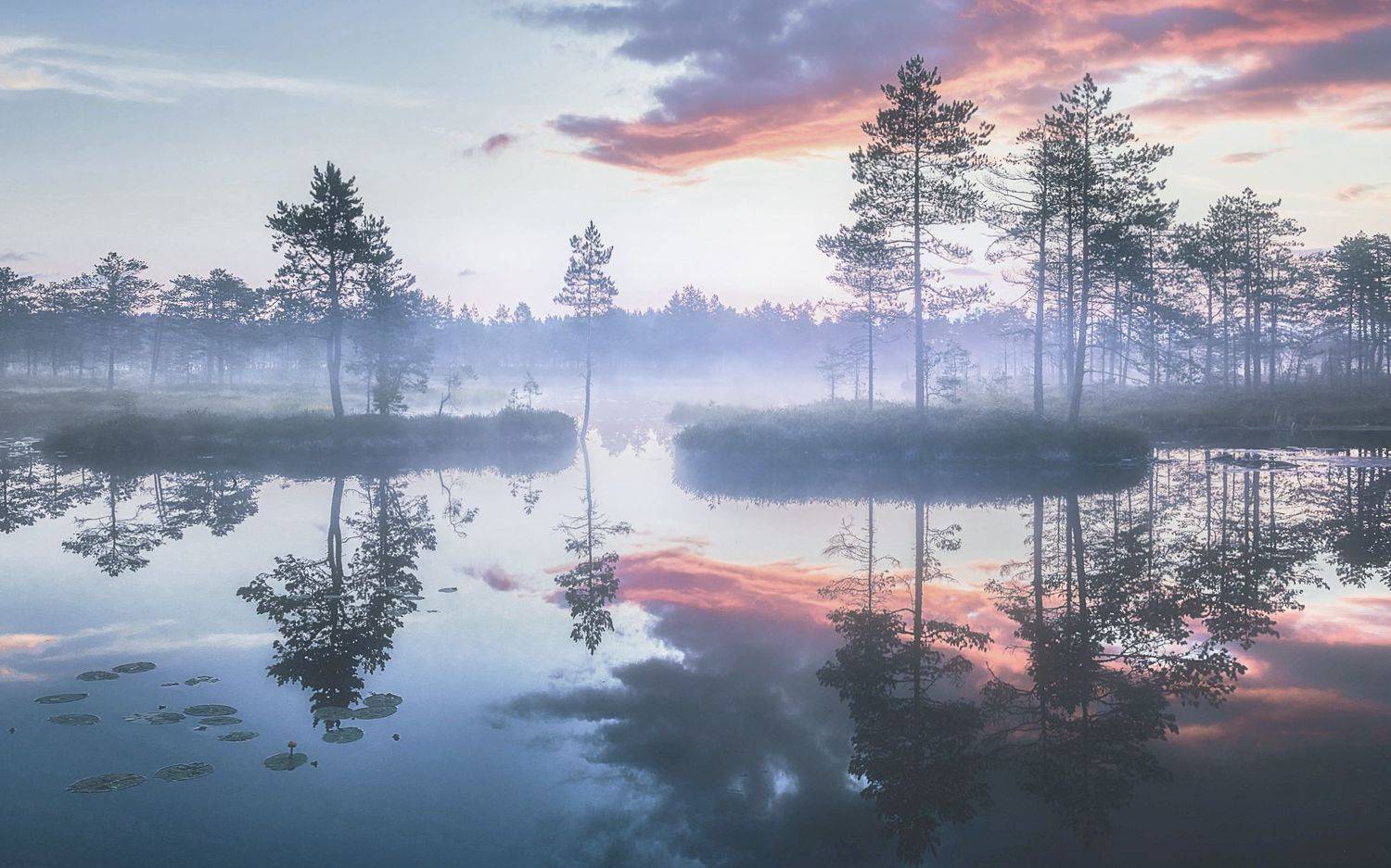 , Кононов Антон