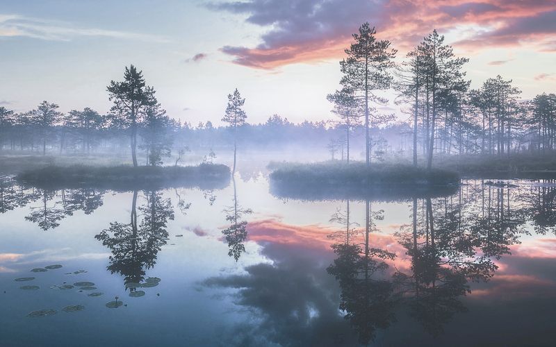 *** фото превью