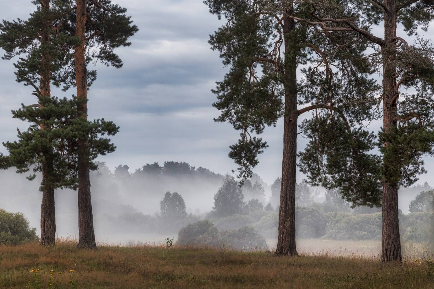 , Евгений Ерохин