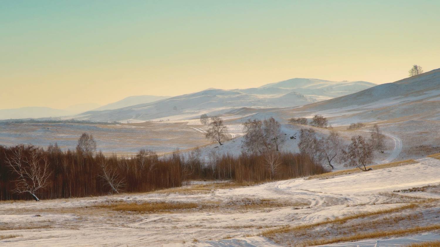 , Шустиков Дмитрий