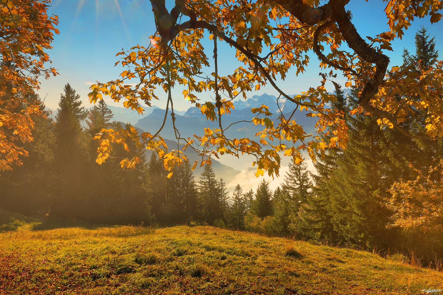 swiss,швейцария,осень,rigi, Николай Матвеев