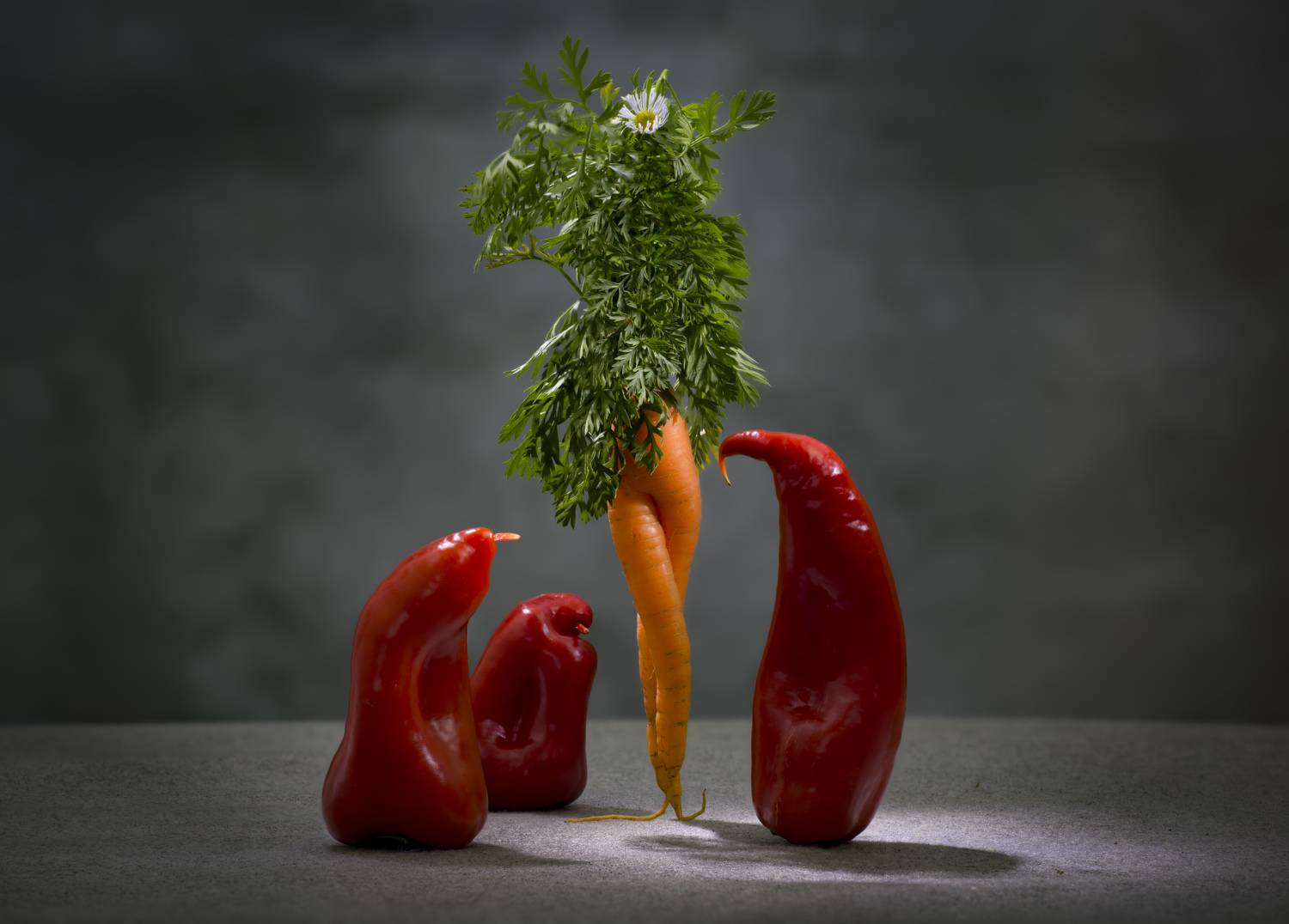 , Черновол Валентин