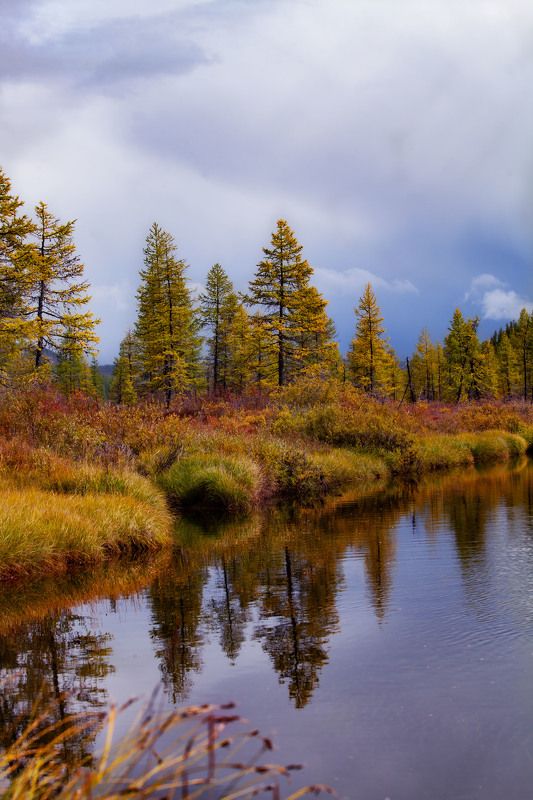 Осень на Окинском плато фото превью