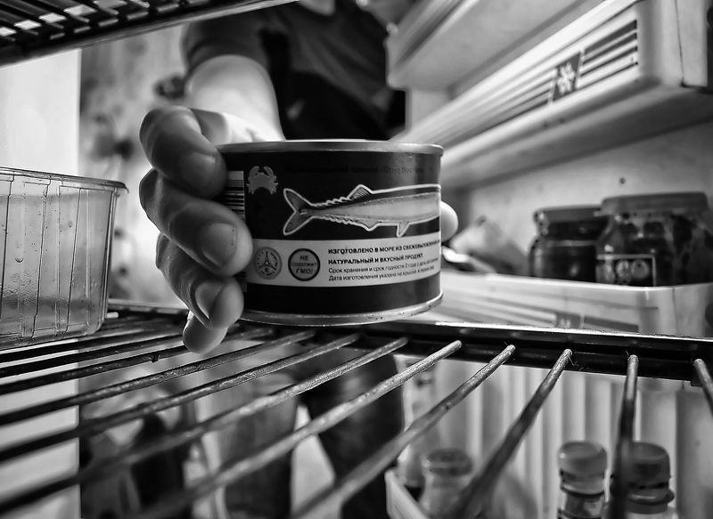 Мир глазами холодильника фото превью