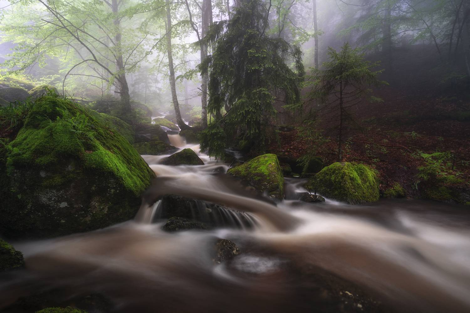 landscape, nature, scenery, forest, wood, mist, misty, fog, foggy, river, longexposure, mountain, rocks, vitosha, bulgaria, туман, лес, Александров Александър