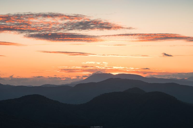 Начало фото превью