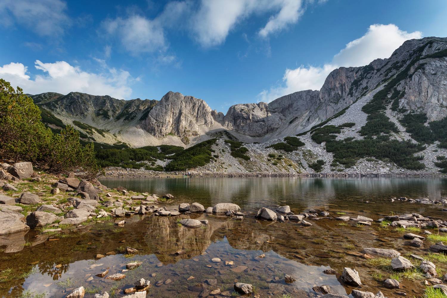 , Александър Сандев