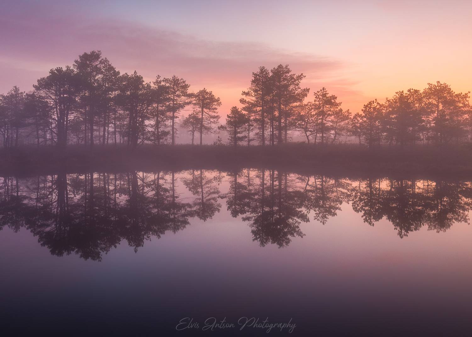 пейзаж, природа, ночь, эстония, болото, туман, отражение, elvis antson, Elvis Antson