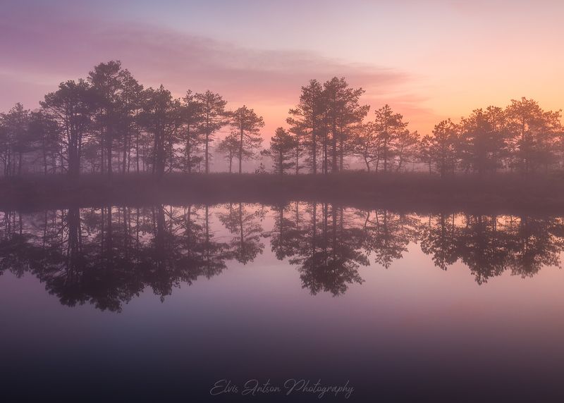 пейзаж, природа, ночь, эстония, болото, туман, отражение, elvis antson Отражение тишины фото превью