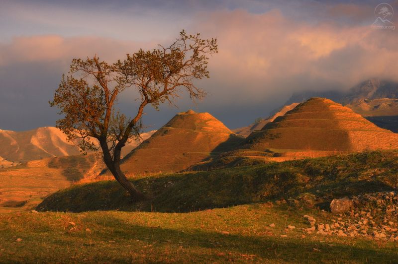 дагестан, горный дагестан, кавказ, фототур в дагестан,  деревья, горы, свет, террасы Солнечные пирамиды фото превью