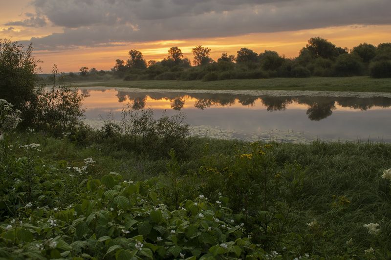 Рассвет, озеро, луг, цветы, отражение, лето, трава, зелень Рассвет у озера фото превью