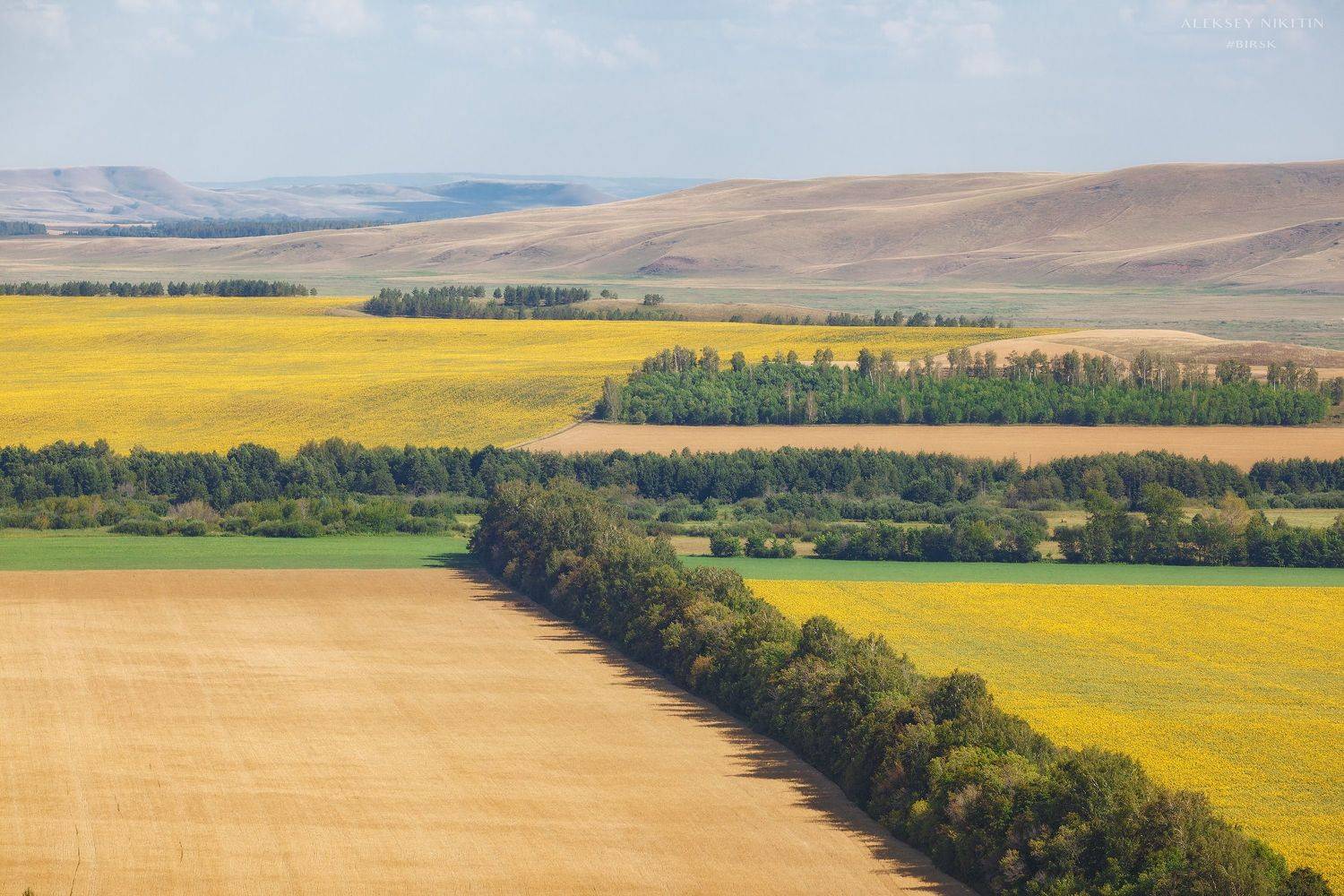 , Никитин Алексей