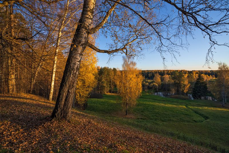 щелыково, костромская область Последние лучики фото превью