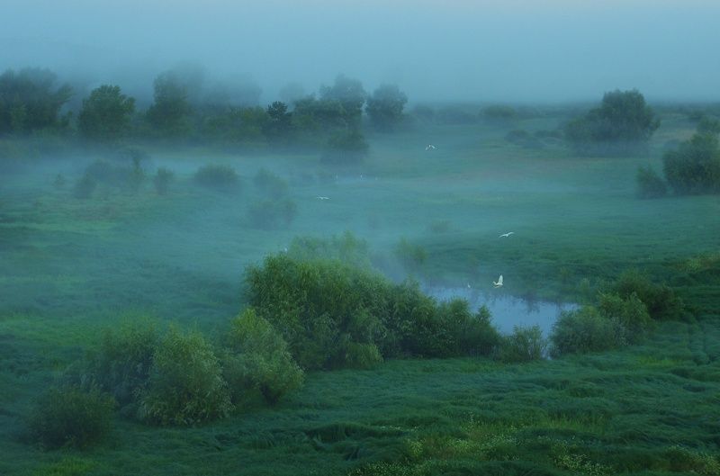 Рассвет в пойменных лугах фото превью