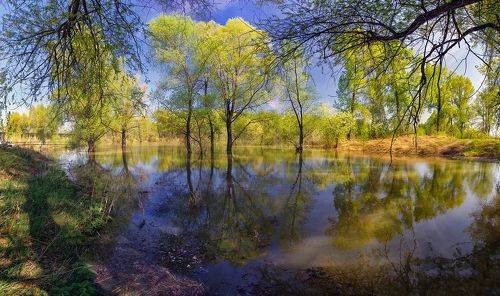 Воды высокие