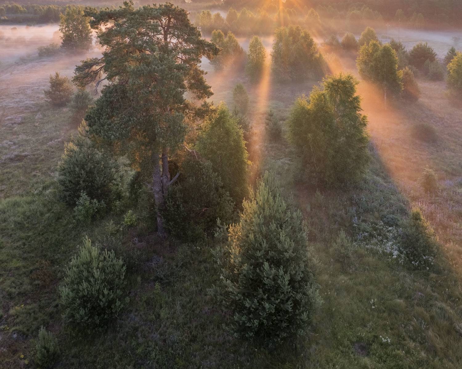 Фототуры с Владимиром Рябковым, #topnature #russpasibo #magic_shots #lovelyRussia #sunset_vision #exclusive_sky  #exclusive_shots #loves_russia2 #photoarena_nature #nature_sultans #nature_perfection #rsa_sky #rsa_sunset #photorussia #rsa_naturepics #sunse, Владимир Рябков