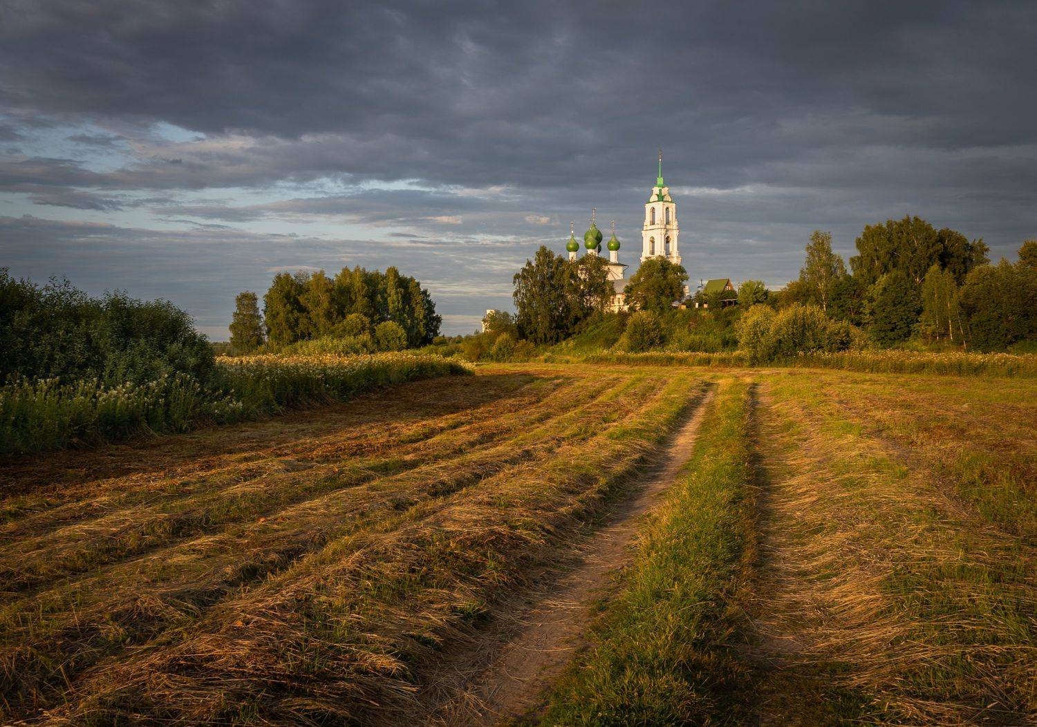 , Алекс Римский