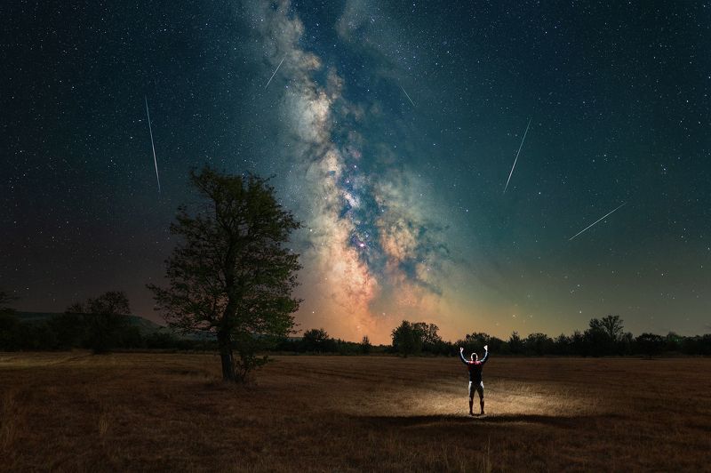 ceclii  фото превью