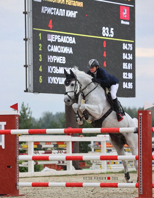 Абсолютная чемпионка России 2023 по конкуру....Наталья Симония. фото превью
