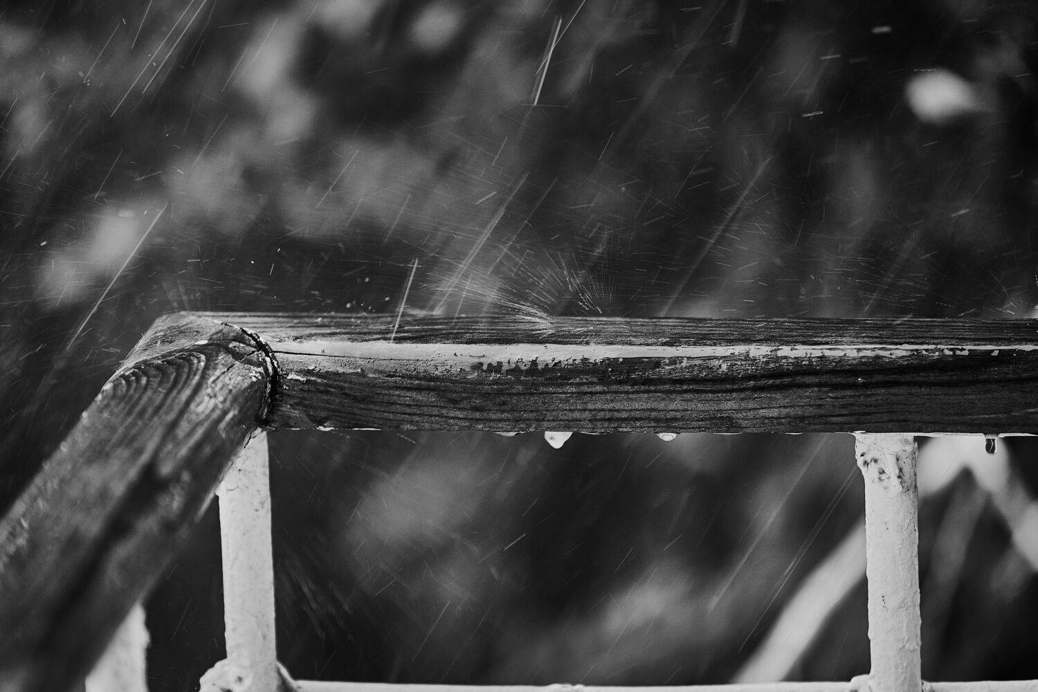 , Наталья Новикова