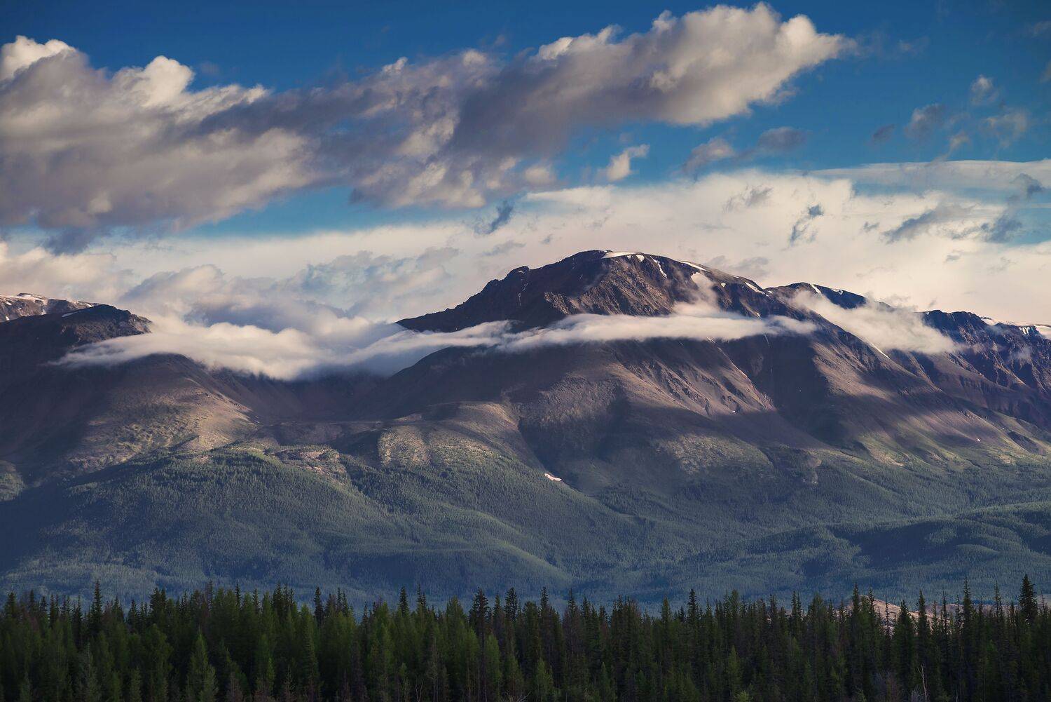 , Николай Колобов