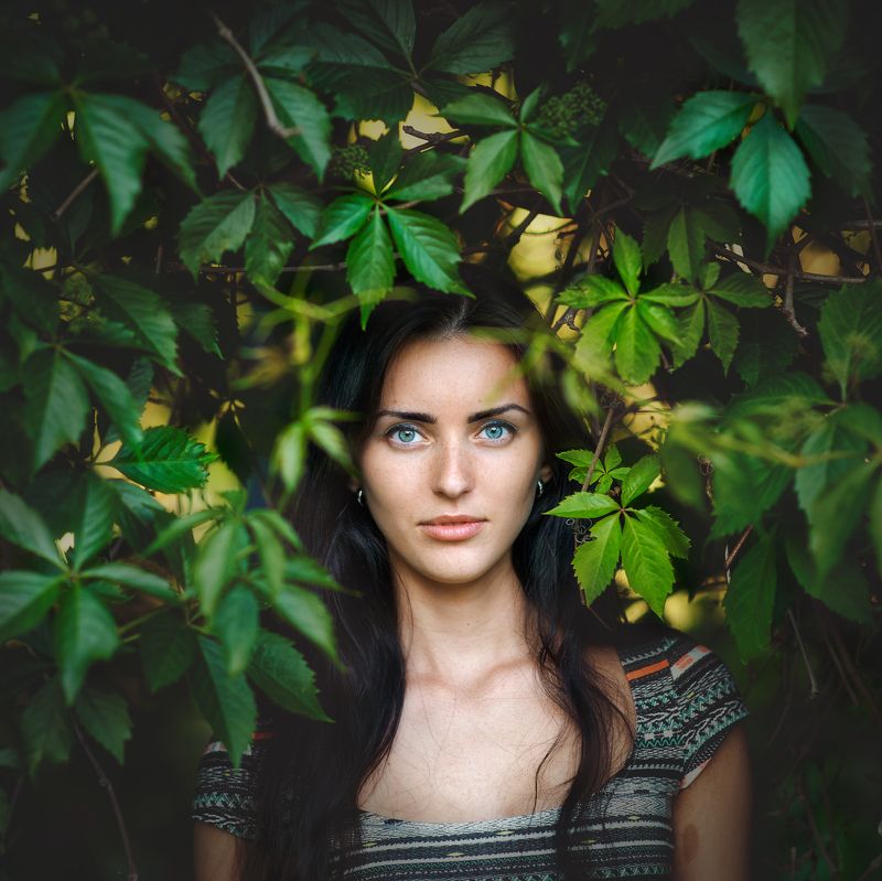 Лето фото превью