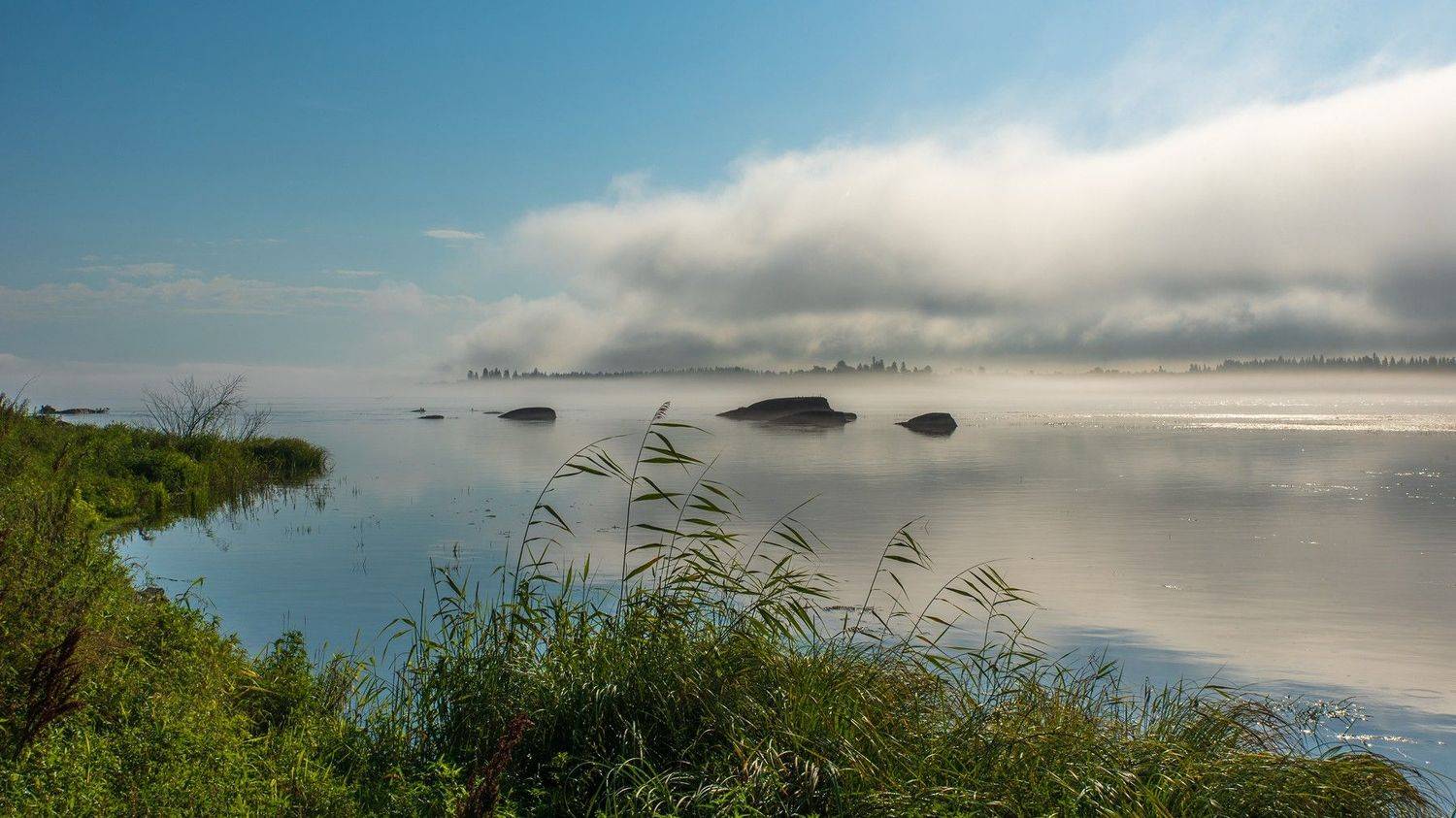 ангара, утро, лето, туман, река, камни, тростник, Юрий Мальцев