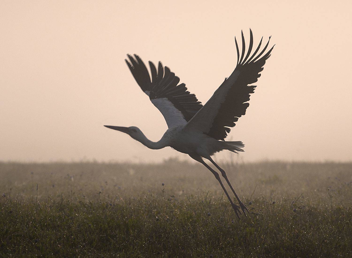 , Баранов Олег